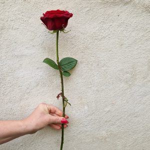 Én rose