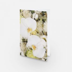 Kort - Hvid Orkidee